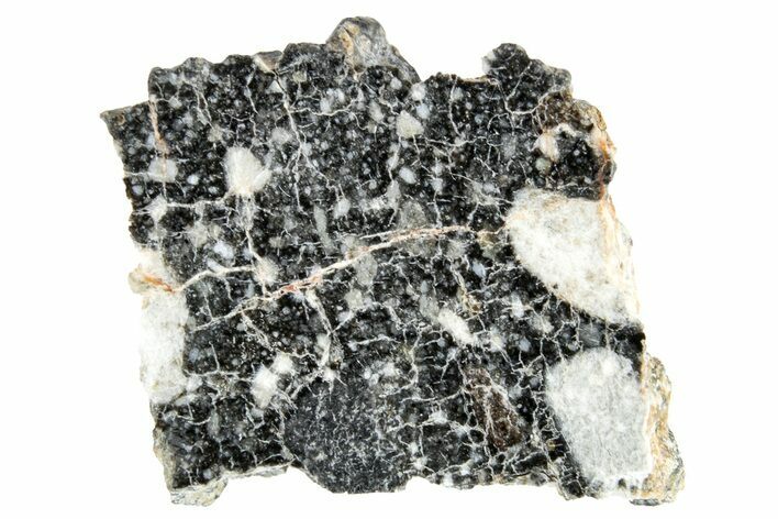 Polished Lunar Meteorite Slice ( g) - NWA #264938